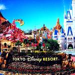 【納得】東京ディズニーリゾートで蚊に刺されない理由