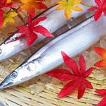 旬の「サンマ」今季は豊漁!”脂ノリ良し”秋刀魚を選ぶコツ・調理ポイントや嬉しい栄養素も紹介