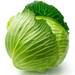 キャベツの値段がとにかく高い!|今年、野菜が高騰している理由 - ソーシャルで話題のニュースをお届けするソーシャルまとめマガジン