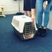 Gladstone on Instagram: “The moment that @batterseadogsandcatshome released me to my new home. Luckily, I'm not camera shy. 🐱📸”