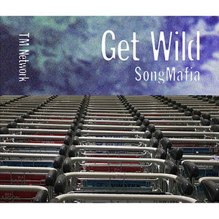 GET WILD SONG MAFIA(4CD) TM NETWORK|mu-moショップ