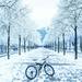 【自転車で雪道】通勤・通学に危険な場所と対処方法☆