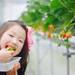 春のお出かけに子どもも楽しめるいちご狩りはいかが?あると便利なグッズ4選!