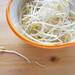節約レシピ!もやしを使った安い簡単おいしいご飯のおかずとおつまみ8選!
