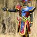 【速報】『仮面ライダーエグゼイド』都内エキストラ募集【締切迫る】/【一般発売開始!】キャスト登場GWスペシャルイベント情報