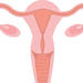 マザーキラーと呼ばれる癌を知っていますか?20代以降に発症リスクが高い「子宮がん」とはどんなもの?