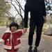 武雄神社、嬉野温泉、そしてこんぺいとう王国!!