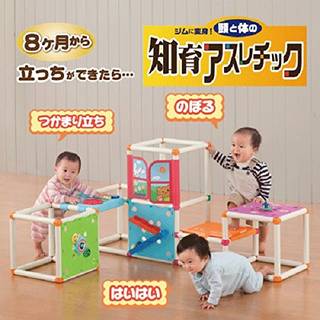 Amazon | ジムに変身! 頭と体の知育アスレチック (8041)
