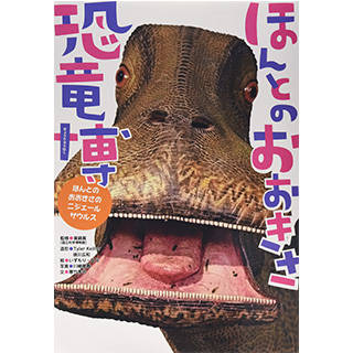 ほんとのおおきさ恐竜博 | Amazon (34564)