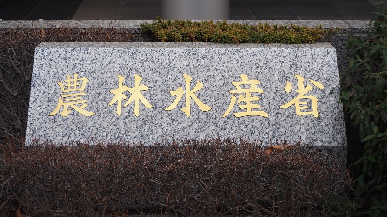 小泉農相「東京のど真ん中に農協がビルを持つことを求めてる農家はいない」発言が波紋