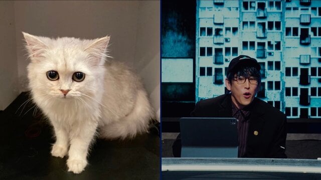 (C)AbemaTV,Inc. (25276)