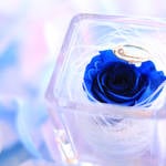必見!40代女性が婚活に成功するための「焦り」の3つの断ち切り方