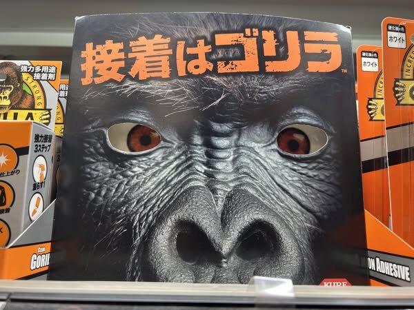 必見！店頭販促特集！2025年第8弾 - ボンビゴシップ