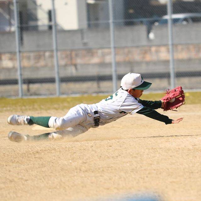 少年野球の練習メニュー7選と具体的な練習方法とは 守備編 Activeる