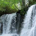 厚別川のおすすめ釣りポイントとは?ヤマメ釣りを楽しめる4つの釣り場