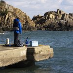 冬に釣れる魚とは?冬釣りの4つのポイントともに解説!
