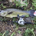 バス釣りでベイトフィネスの必要性とは?メリットを考察してみた