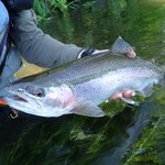 湧別川のおすすめ釣りポイントとは?ニジマス釣りを楽しもう
