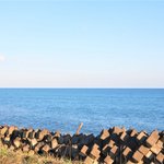 白老の釣り情報まとめ!おすすめのポイントや期待の釣果とは?