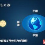大潮・中潮・小潮・長潮・若潮とは?潮の満ち引きを理解しよう【釣り用語解説】