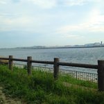 京浜島つばさ公園の釣りポイント4選!釣果をあげる攻略法とは?