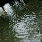 札幌の釣り堀10選!気軽にヤマメやニジマス釣りを楽しもう