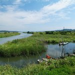 涸沼の釣りポイント情報まとめ!初めて行く人にゼロから攻略法を解説