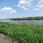 荒川のバス釣りポイント15選!初心者でも釣果があがる釣り場とは?