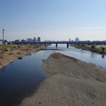 多摩川のバス釣りポイント情報!ブラックバスの攻略法をゼロから解説