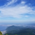 大分のアジングポイント7選!アジが釣れる釣り場はどこ?