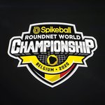 スパイクボールとは?アメリカで熱狂のバレーボールに似た競技を紹介