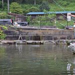 奥多摩の釣り堀6選!都心から2時間で自然を見ながら釣りを楽しもう
