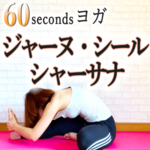 ジャーヌ シール シャーサナの効果とやり方とは?別名:頭を膝につけるポーズ【ヨガ】