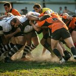 ラグビーのにわかファンとは?ルールも知らないけど急増した理由とは?