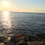 秋に釣れる魚とは?9月・10月・11月に狙える魚種