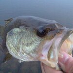 9月のバス釣りを攻略しよう!釣果あげるポイントは水温の変化を意識?