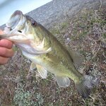 10月のバス釣りを攻略しよう!釣果あげるポイントは巻き物?