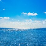 長潮とは?長潮のときに釣りで釣果をあげるにはベイトの多いポイント選びが大事!