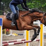 近代五種とは?競技人口・ルールから世界大会・日本代表が丸わかり!
