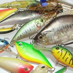 バス釣りルアーの選び方とは?初心者におすすめの最強ルアー・ワームを紹介!