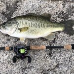 バス釣り用ベイトリールの選び方!初心者におすすめな最新リールとは?