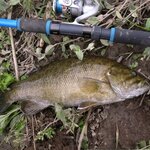 バス釣りのスピニングリール用ラインとは?太さなどの選び方とおすすめライン9選