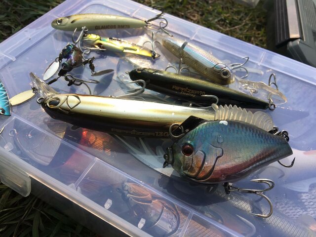 バス釣りの仕掛けの種類と作り方 バス釣り初心者への入門ガイド Activeる