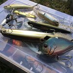 バス釣りの仕掛けとは?種類と仕掛けの作り方を徹底解説【初心者必見】