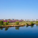 東京都のバス釣りポイント8選!初めて行く人はどこがおすすめ?【釣り場情報】