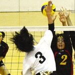 【埼玉県】バレーボールの強い中学校10選!強豪中学を男子と女子に分けて紹介