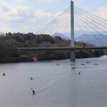 香川県のバス釣りポイント8選!初めて行く人はどこがおすすめ?【釣り場情報】