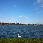 水戸市周辺のバス釣りポイント8選!初めて行く人はどこがおすすめ?【釣り場情報】