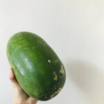 とうがんはダイエットおすすめ?冬瓜の効果・おすすめレシピを解説