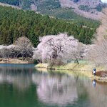 赤川ダムのバス釣りポイント3選!おかっぱりからブラックバスを攻略しよう